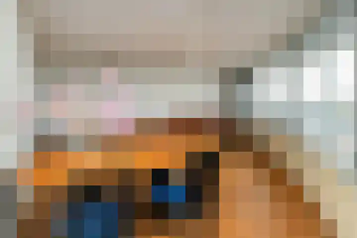 Langgewenst 129 Hilversum thumbnail 4