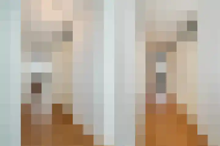 Langgewenst 129 Hilversum thumbnail 8