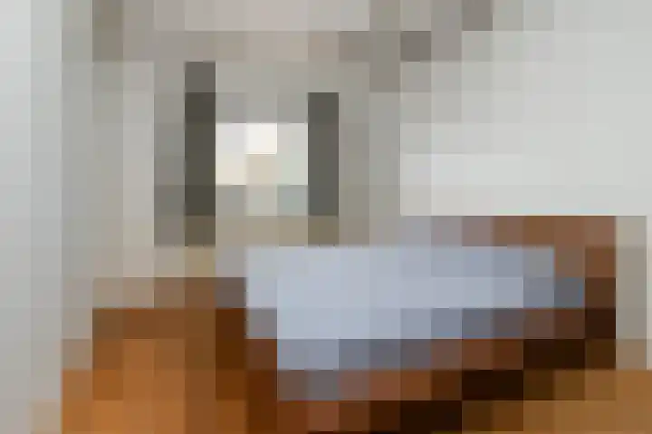 Langgewenst 129 Hilversum thumbnail 9