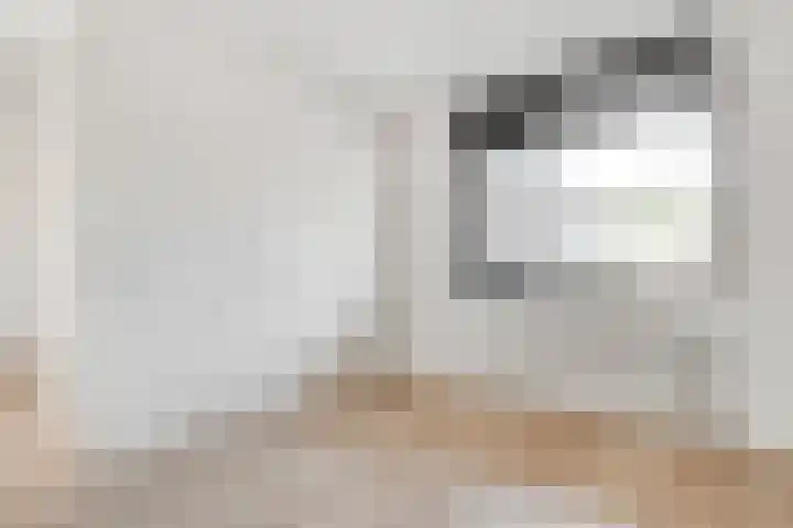 Langgewenst 21 Hilversum thumbnail 21