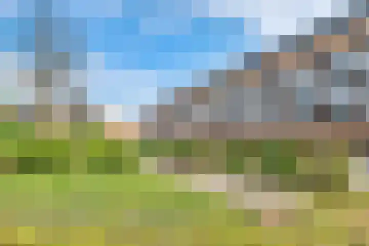 Langgewenst 21 Hilversum thumbnail 25