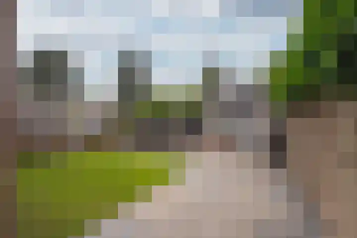 Langhaagweg 49 Stein thumbnail 22