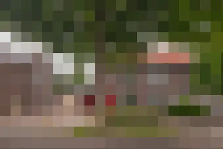 Langhaagweg 49 Stein thumbnail 27