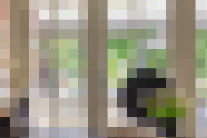 Langpad 31 Veldhoven thumbnail 11