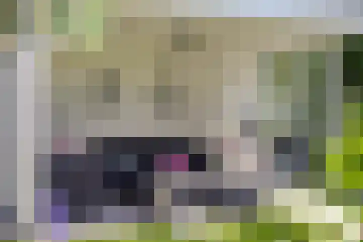 Langpad 31 Veldhoven thumbnail 57