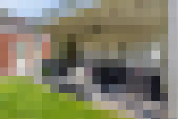 Langpad 31 Veldhoven thumbnail 58