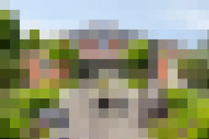 Langpad 31 Veldhoven thumbnail 62