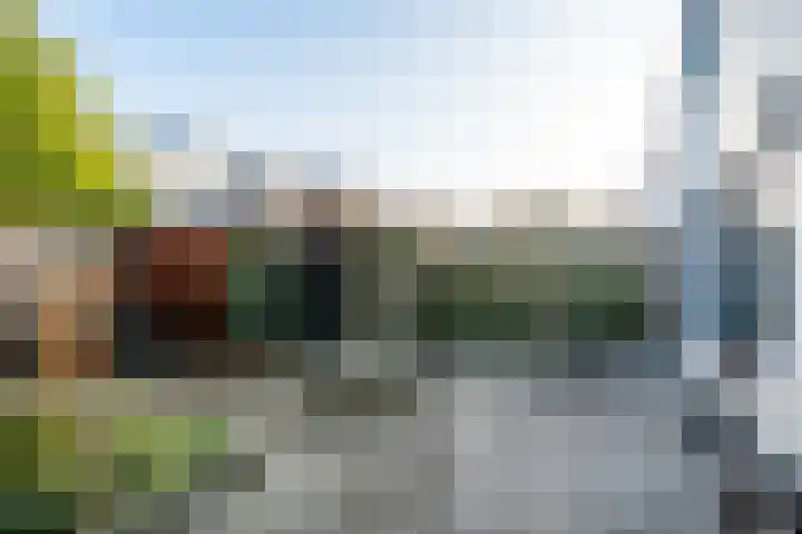Langs de Bogen 24 Swifterbant thumbnail 30