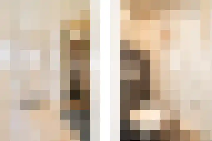 Langs de Bogen 24 Swifterbant thumbnail 7