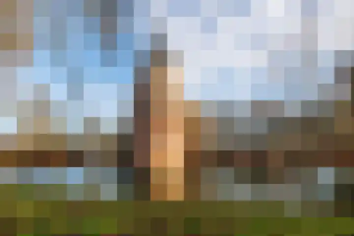 Langs de Wal 13 Wijk bij Duurstede thumbnail 44