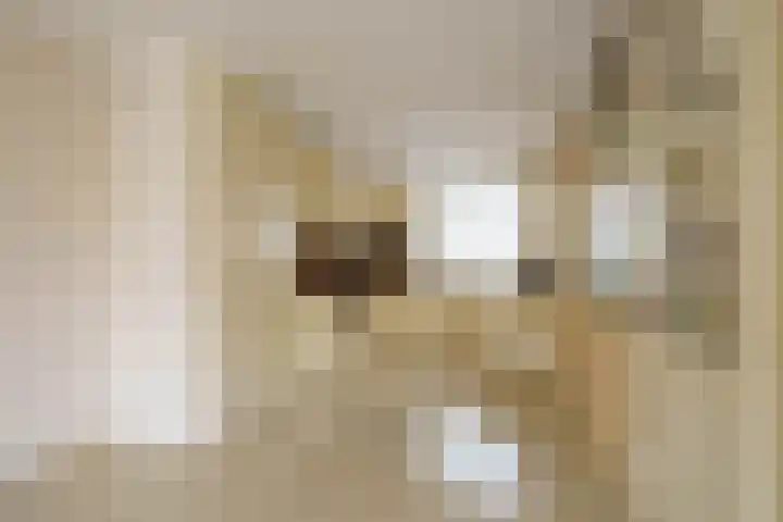 Langshof 140 Almere thumbnail 11
