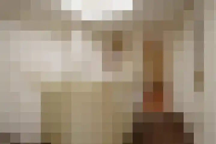 Langshof 140 Almere thumbnail 14