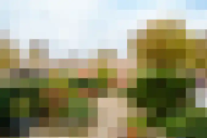 Langshof 140 Almere thumbnail 25