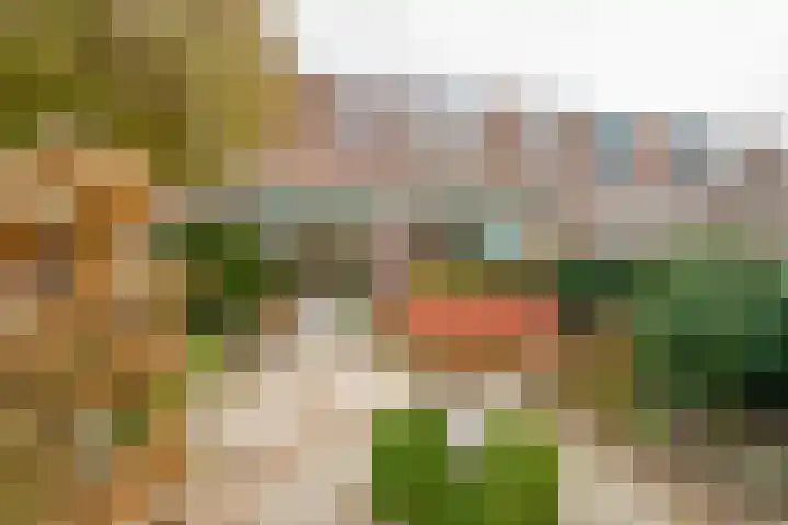 Langshof 140 Almere thumbnail 28