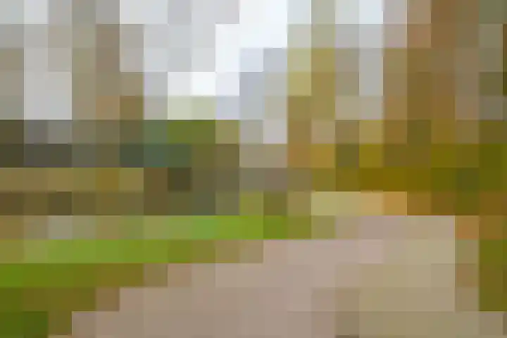 Langshof 140 Almere thumbnail 36