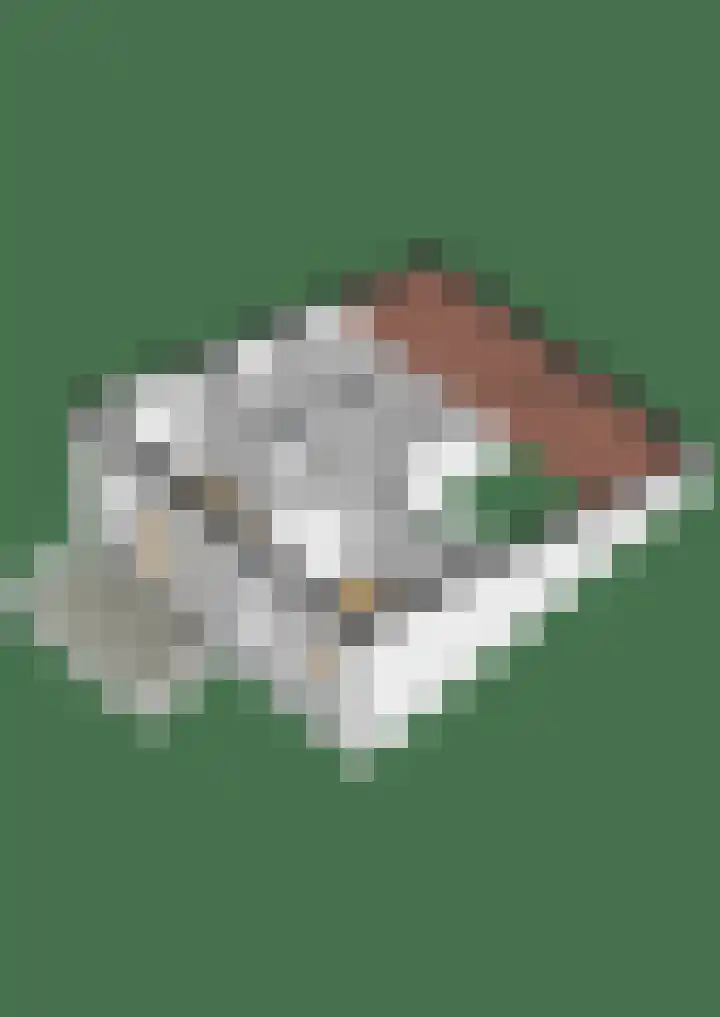 Langstraat 10 Lelystad thumbnail 60