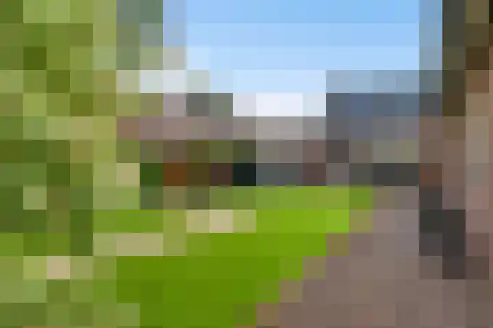 Langstraat 14 Leende thumbnail 50
