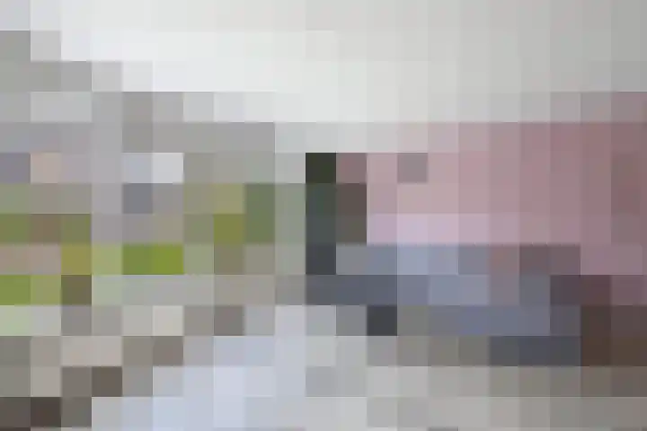 Langstraat 2 Emmeloord thumbnail 12
