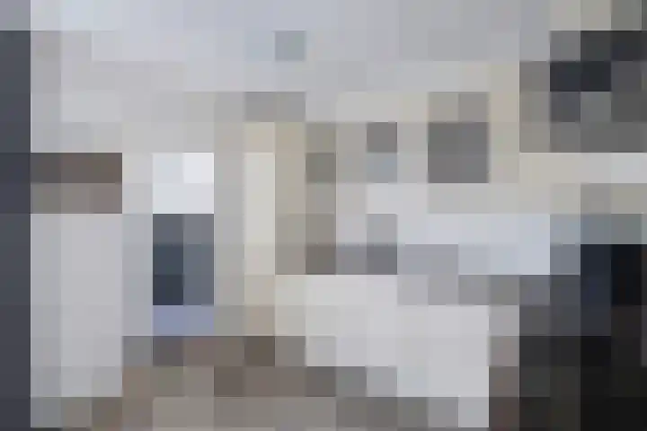 Langstraat 2 Emmeloord thumbnail 21