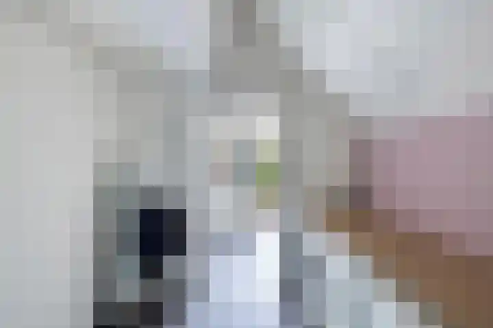 Langstraat 2 Emmeloord thumbnail 23