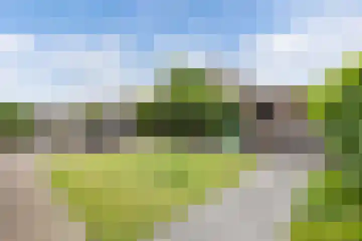 Langstraat 2 Emmeloord thumbnail 30
