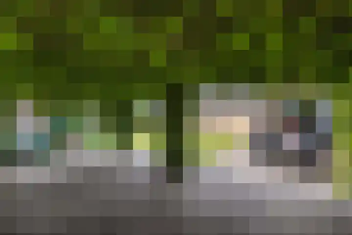 Langstraat 2 Emmeloord thumbnail 31