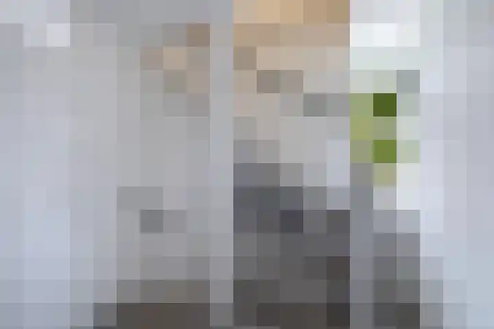 Langstraat 2 Emmeloord thumbnail 36