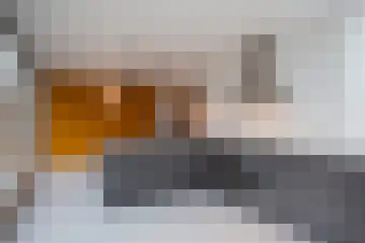 Langstraat 20 Halsteren thumbnail 21