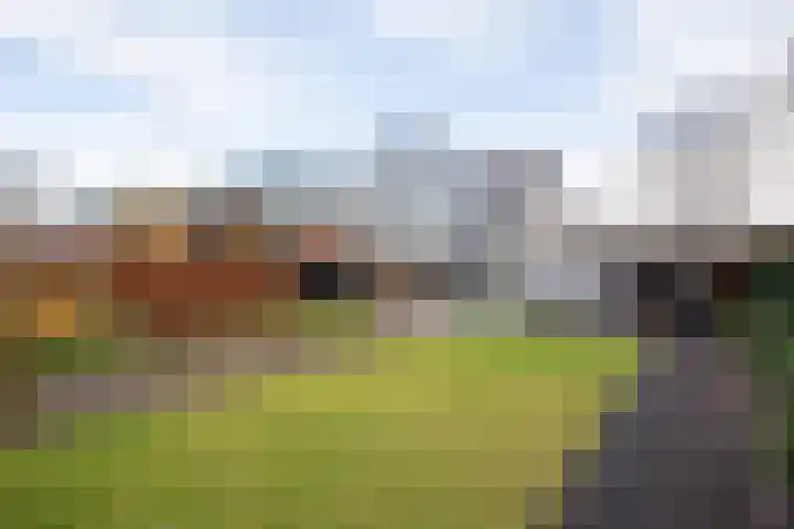 Langstraat 20 Halsteren thumbnail 5