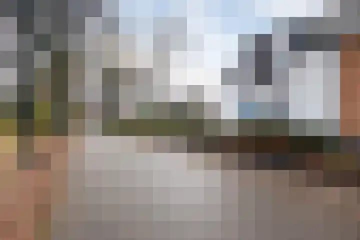 Langstraat 20 Halsteren thumbnail 53