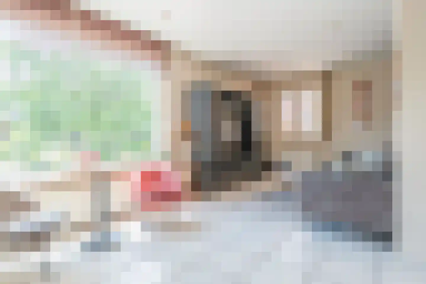 Langstraat 20 Schimmert thumbnail 10