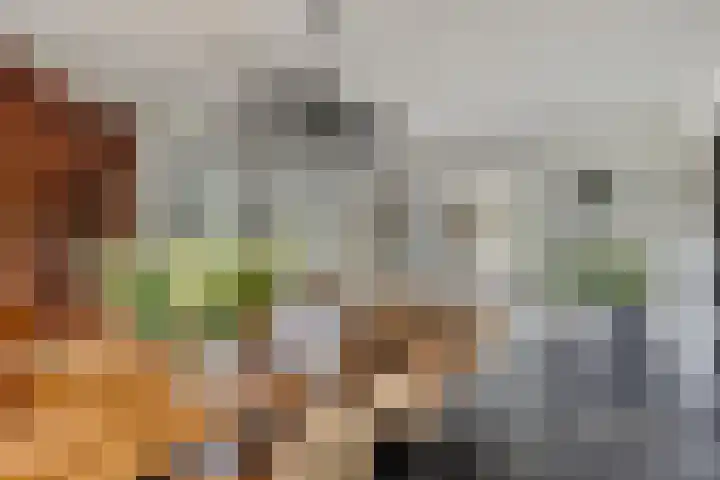 Langstraat 3 Halsteren thumbnail 10