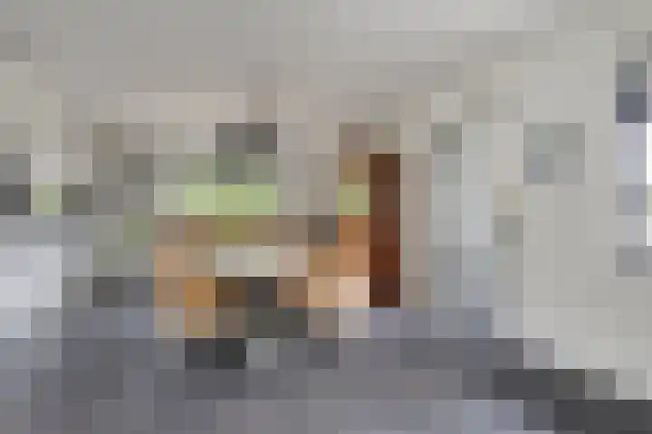 Langstraat 3 Halsteren thumbnail 12