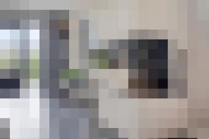 Langstraat 3 Halsteren thumbnail 15