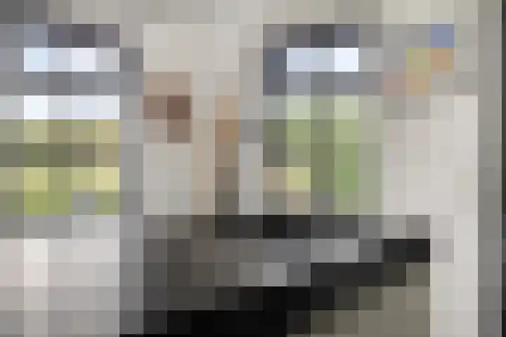 Langstraat 3 Halsteren thumbnail 20