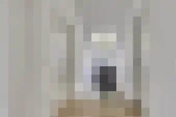 Langstraat 3 Halsteren thumbnail 21