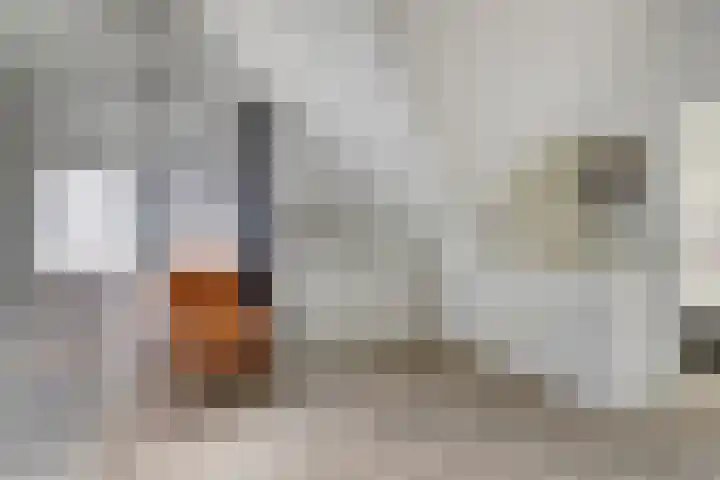 Langstraat 3 Halsteren thumbnail 22
