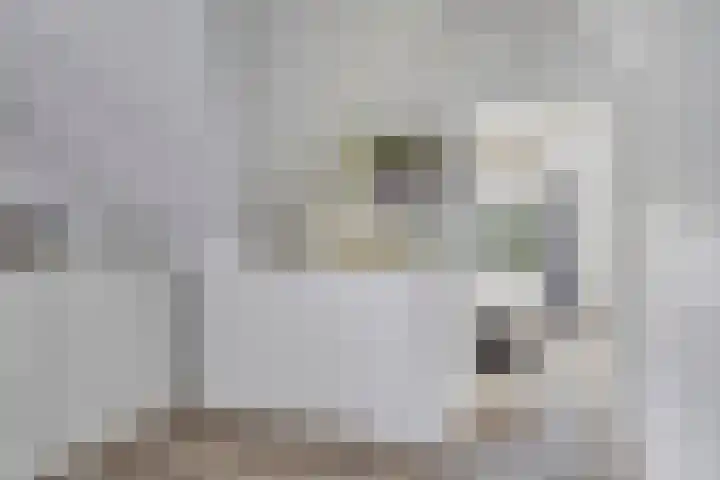 Langstraat 3 Halsteren thumbnail 24