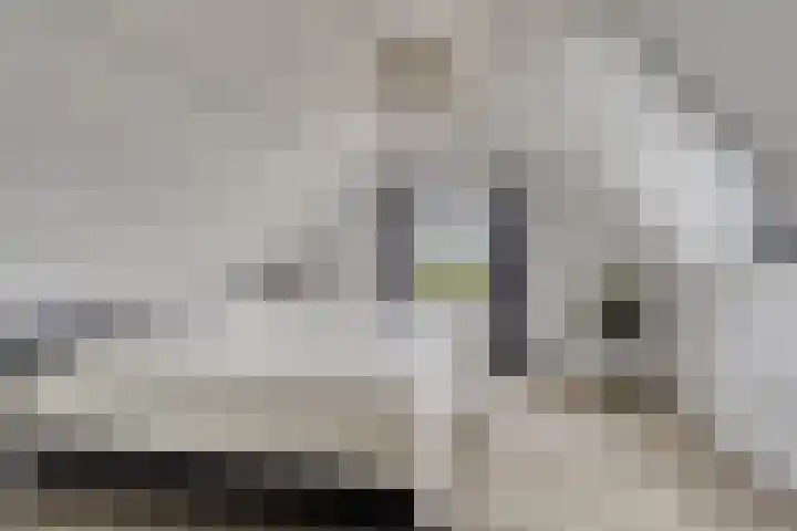 Langstraat 3 Halsteren thumbnail 25
