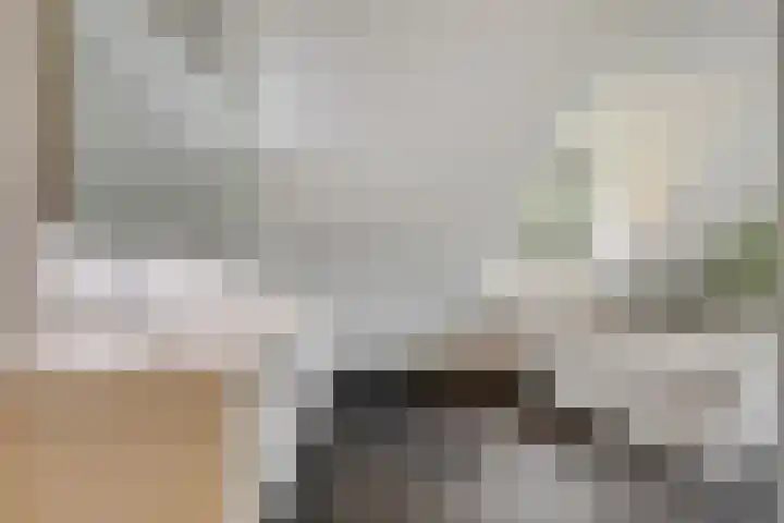 Langstraat 3 Halsteren thumbnail 27