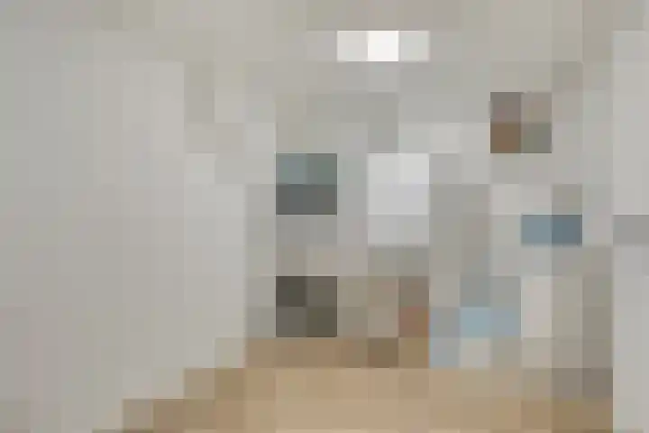 Langstraat 3 Halsteren thumbnail 31
