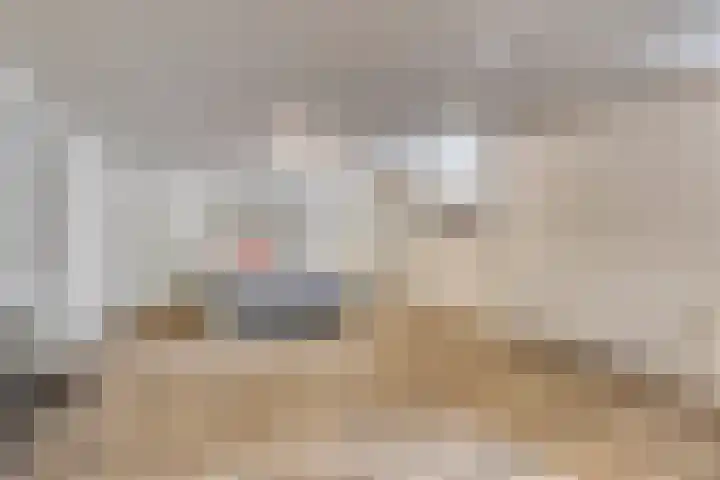 Langstraat 3 Halsteren thumbnail 34