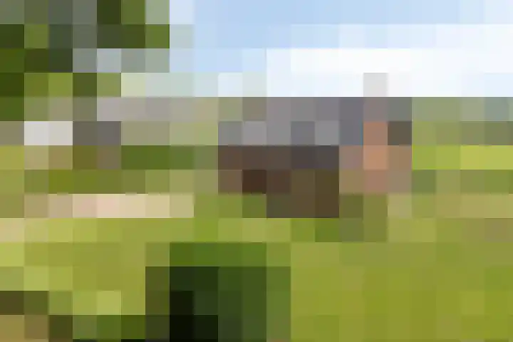 Langstraat 3 Halsteren thumbnail 39