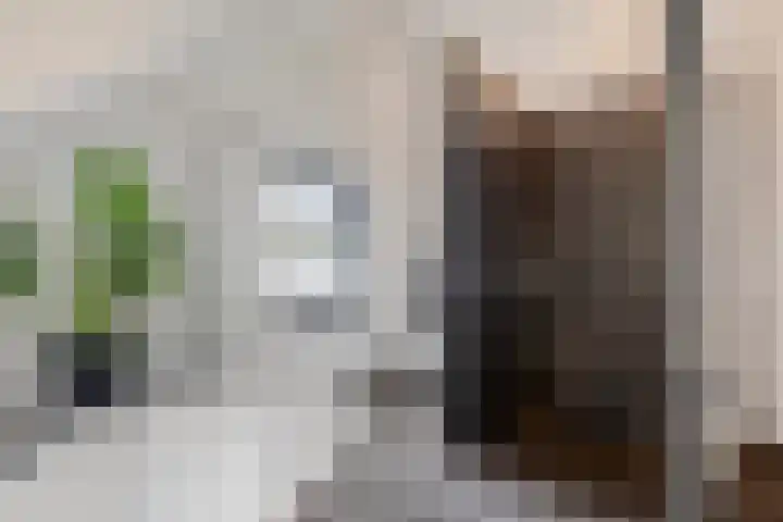 Langstraat 3 Halsteren thumbnail 4
