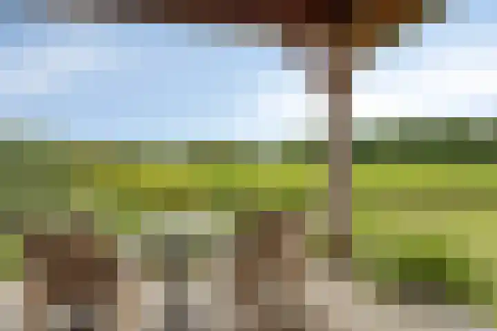 Langstraat 3 Halsteren thumbnail 6