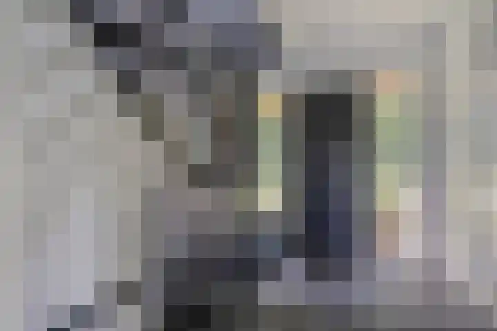 Langstraat 3 Halsteren thumbnail 8