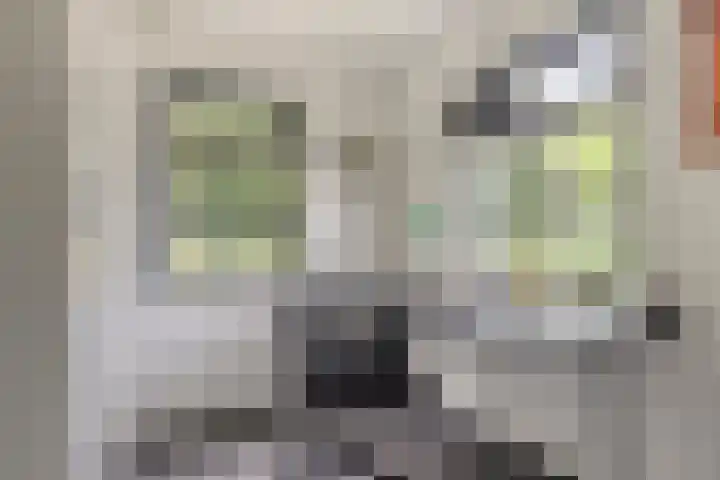 Langstraat 3 Halsteren thumbnail 9