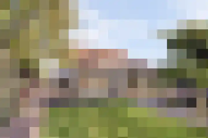 Langstraat 4 B Schore thumbnail 42