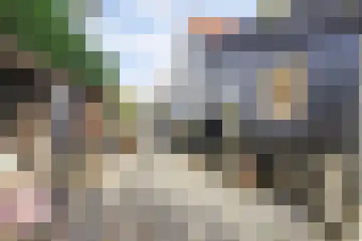 Langstraat 4 B Schore thumbnail 57