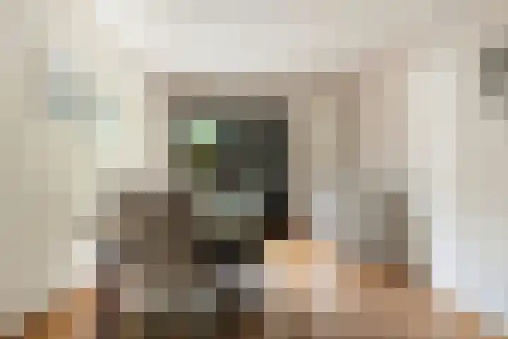 Langstraat 41 a Afferden L thumbnail 12